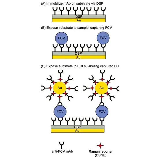 Neuroviruses Comprehensive Panel Qualitative PCR